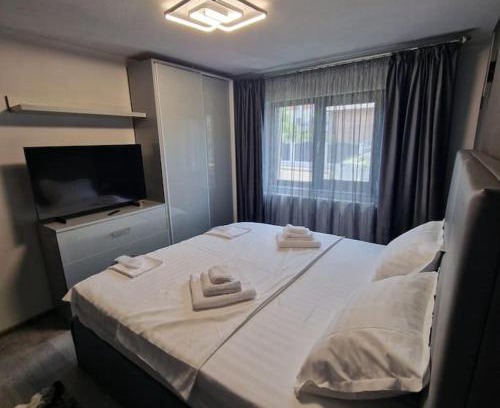 Curtea De Arges Apartment | Apartament Iulius 3 camere