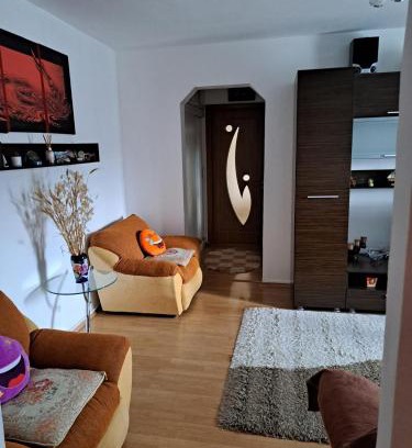 Emanoil Gojdu Apartment | Apartament Saraol