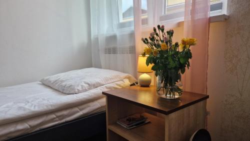 Piwniczna-Zdroj Apartment | Apartament w centrum Piwnicznej