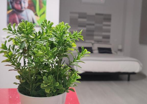 Fuencarral Apartment | Apartamento Madrid Norte