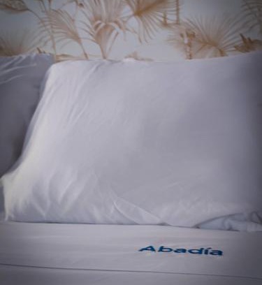 Corella Apartment | Apartamentos Abadía.