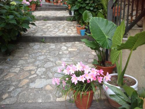Mogarraz Apartment | Apartamentos Anateresa