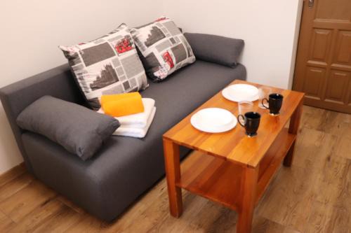 Zator Apartment | Apartamenty Zator Energy Rest