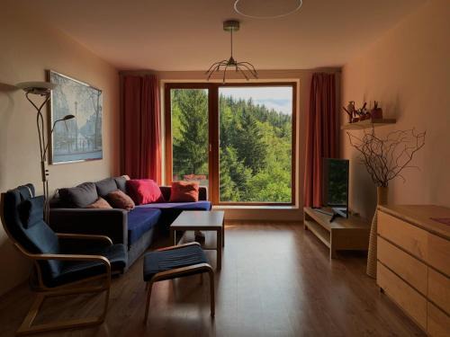 Rokytnice nad Jizerou Apartment | Apartmán Švadlenka