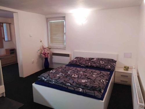 Zabreh Apartment | Apartmán na Rybářské