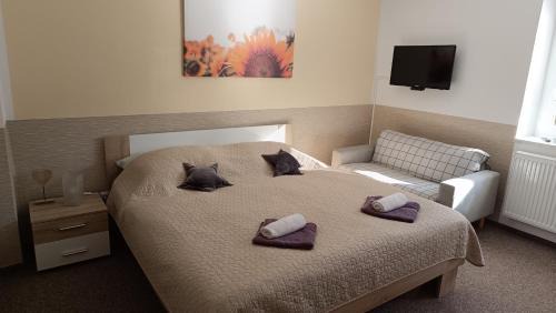Pardubice Apartment | Apartmány Svítkov 79