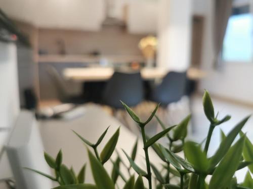 Podbela Apartment | Apartma Bella Nadiža