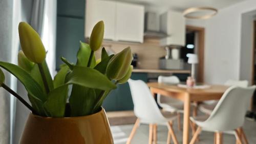 Podbela Apartment | Apartma Mia Nadiža