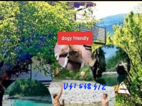 Borjana Apartment | Apartma NADIŽA Borjana107