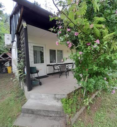Belatelep Apartment | Apartman 1