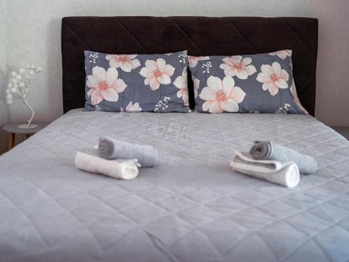 Vranje Apartment | Apartman Ristić