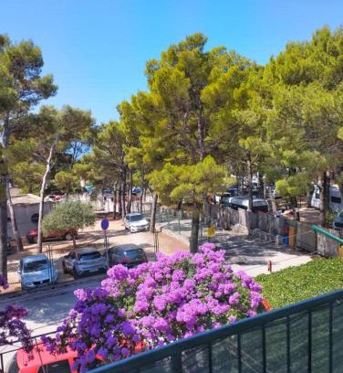 Ratac Apartment | Apartmani Luma del mare