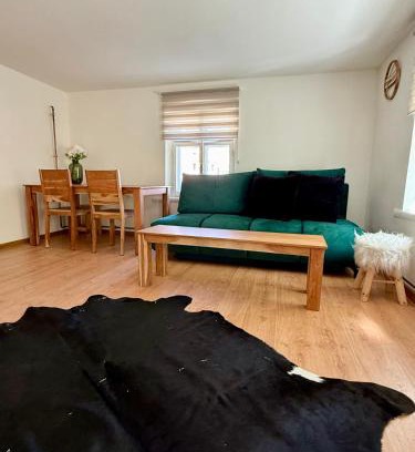Javornik Apartment | ApartmanZ