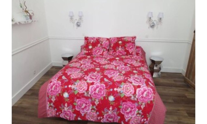Ecouflant Apartment | APARTMENT 50M2, LOIRE VALLEY