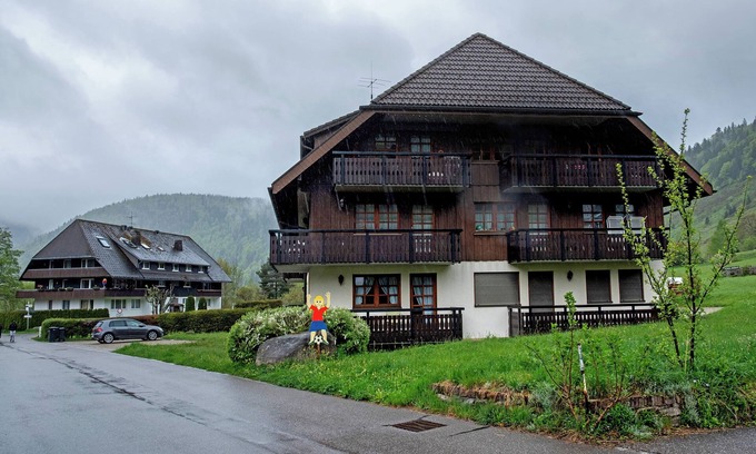 Menzenschwand-Hinterdorf Apartment | Apartment 'Am Blaubeerhang' with Mountain View, Private Terrace and Wi-Fi