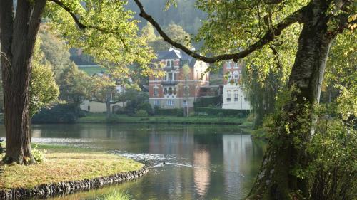 Bad Elster Apartment | Apartment Am Gondelteich