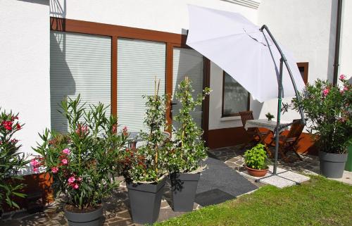 Zaga Apartment | Apartment Baban in Žaga, Slovenia
