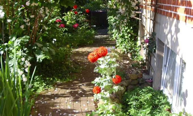 Amelinghausen Apartment | Apartment in the romantic garden Note days of action !