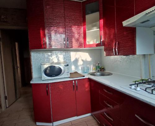 Poltava Oblast Apartment | Apartment - Panasa Myrnoho 20