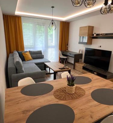 Radvan Apartment | Apartment R&L Švermová - 2 min ESC, balcony