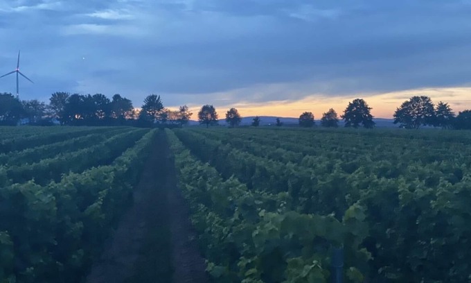 Schornsheim Apartment | Apartment to the grape valley