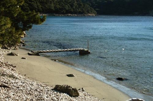 Saplunara Apartment | Apartments by the sea Cove Saplunara, Mljet - 12849
