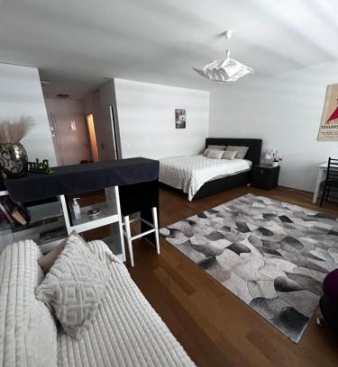 Breitenrain-Lorraine Apartment | Apartments in Bern - Green Relax