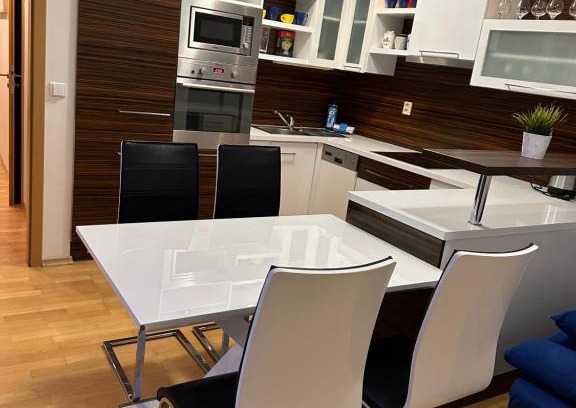 Brno Apartment | Apartments Spačilova nearly center