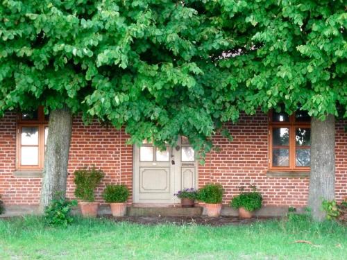 Fehmarn Apartment | Apfelhof Fehmarn