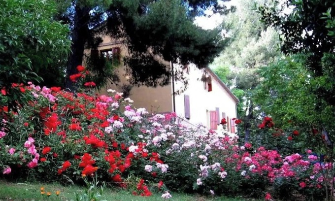 Monte San Vito Other | APP. in the MARCHIGIAN COUNTRY, Familiar