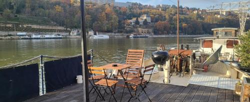 Grand Lyon Boat Rental | Appartement dans Péniche atypique et idyllique à Confluence