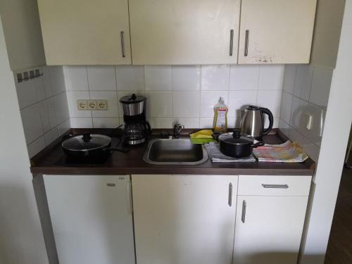 Altchemnitz Apartment | Appartement Denis