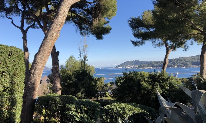 Tamaris Apartment | Appartement T2 EN REZ DE Jardin Dans Residence Calme ET Arbore