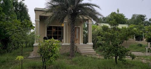 Bali House | ARANYA JAWAI - A Nature Stay