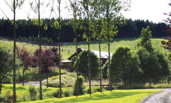 Fauvillers House | Ardennes gîte surrounded by game parks, at the foot of the Anlier forest