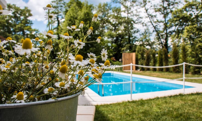 Anopolis Apartment | Aristotelia Gi Studio - Cozy Poolside Bliss