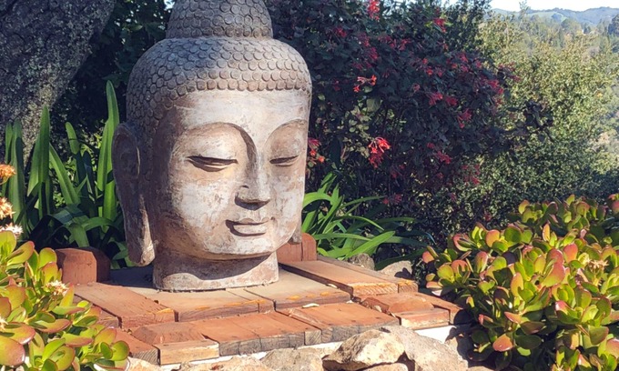 Lost Valley House | Art-Filled ORINDA ZEN Retreat. BREATHTAKING VIEWS! Minutes to BART, SAN FRANCISC