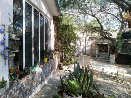 San Miguel de Allende Apartment | ARTE-MAZCAL