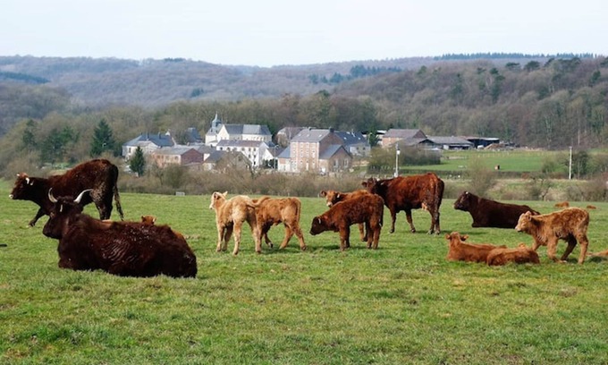 Xhignesse Apartment | At Hameau de Xhignesse, luxurious 5-bedroom/5-bathroom gîte: Best price guaranteed
