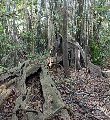 Puerto Narino House | Atacuari Salvaje Tours Amazonas