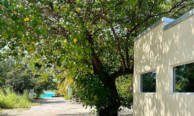 Kelaa House | Athiri Inn Kelaa