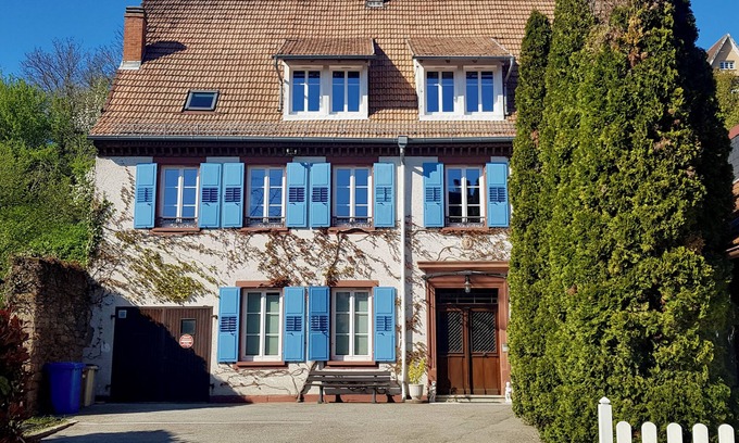 Niederbronn-les-Bains Apartment | Au Relais des Thermes - Ambre - 2-room apartment 60 m2
