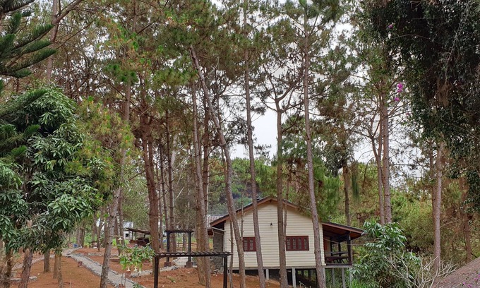 Phonsavan Hotel | Auberge Plain of Jars - Phouphadeng
