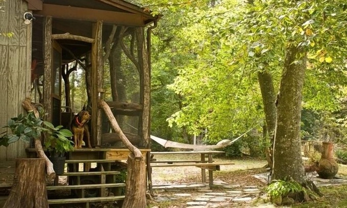 Acquinton House | Aylett River Paradise: A whimsical gem designed to harmonize with nature.