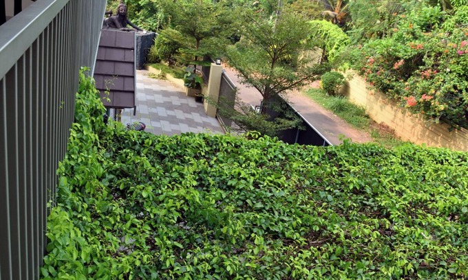 Thalassery House | Ayush Green - Home Away Home