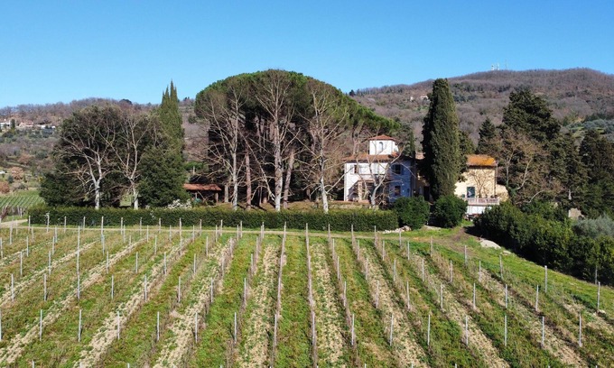 Dicomano House | Azienda agricola Frascole