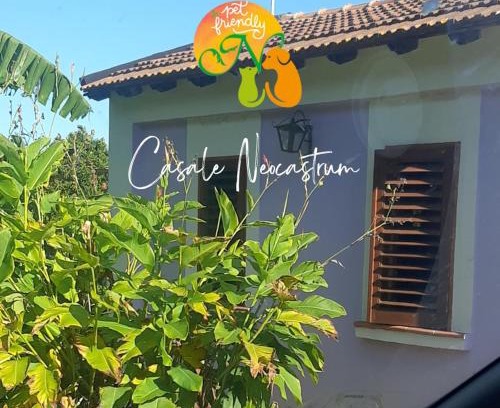 Lamezia Terme Apartment | Azienda Agricola Neocastrum