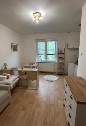 Decin Apartment | Bílý klid nově zrekonstruované studio