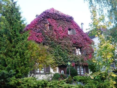 Ferrette Bed & Breakfast | B&B de charme La Maison des 5 Temps