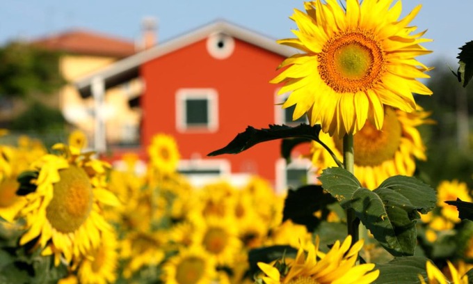 Osimo Bed & Breakfast | b&b DOREMI